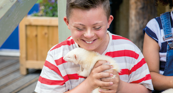boy-with-ferret-560x300.png