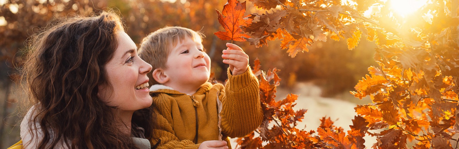 en-fall-smile-list-1600x522@1x.jpg