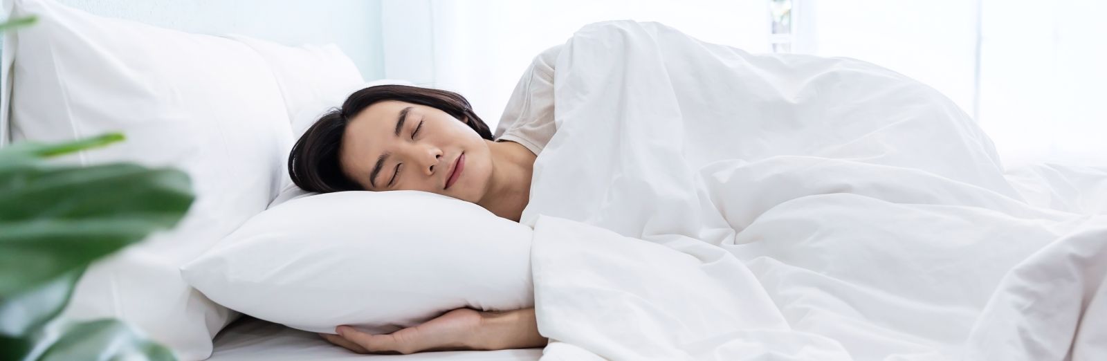 en-maintain-healthy-sleep-1600x522@1x.jpg