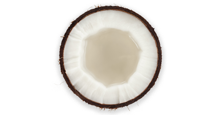 coconut-752x400.jpg