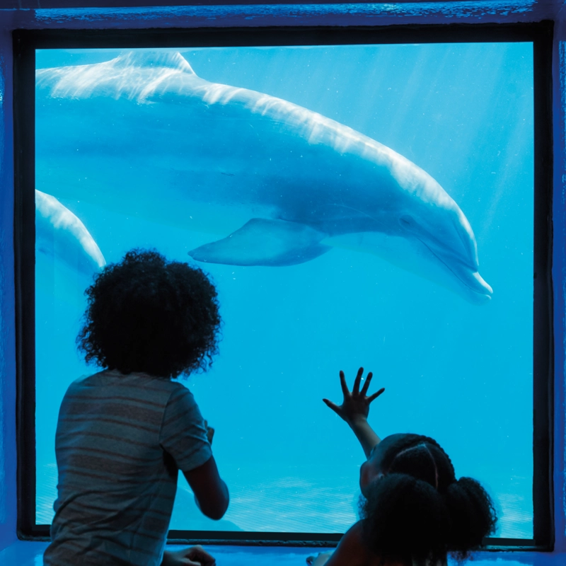 kids-at-aquarium-800x8001.webp